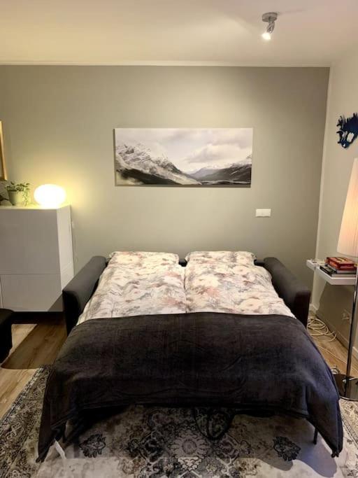 Cosy One Bedroom Apartment In Reykjavík Exterior foto